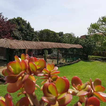 Holiday home Del Remei Vidreres